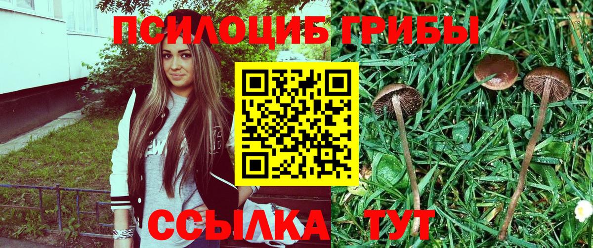 Кольчугино  Галлюциногенные грибы Cubensis  Галлюциногенные грибы мухоморы  Вход с VPN 